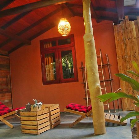 The Elephant Next-Door Udawalawe Exterior foto